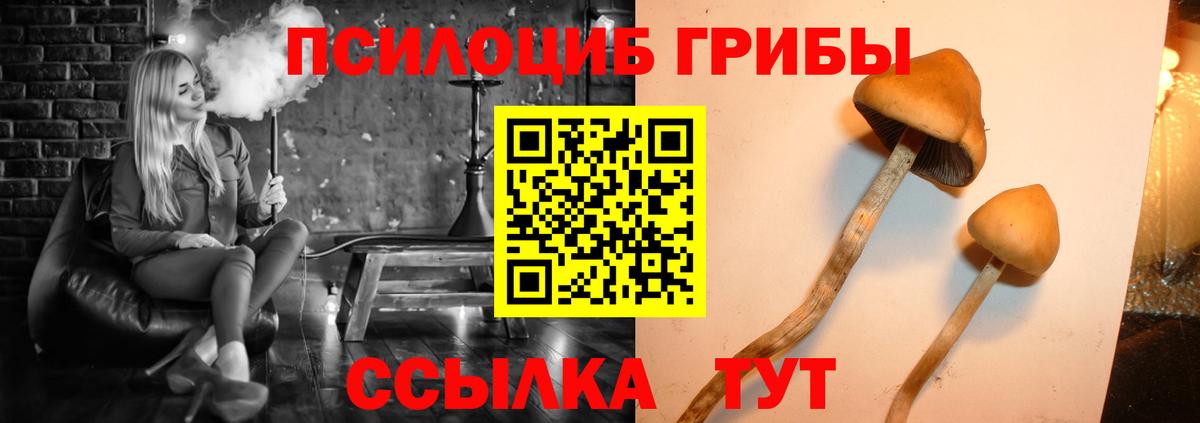 Галлюциногенные грибы GOLDEN TEACHER  Вход с VPN  Уссурийск 